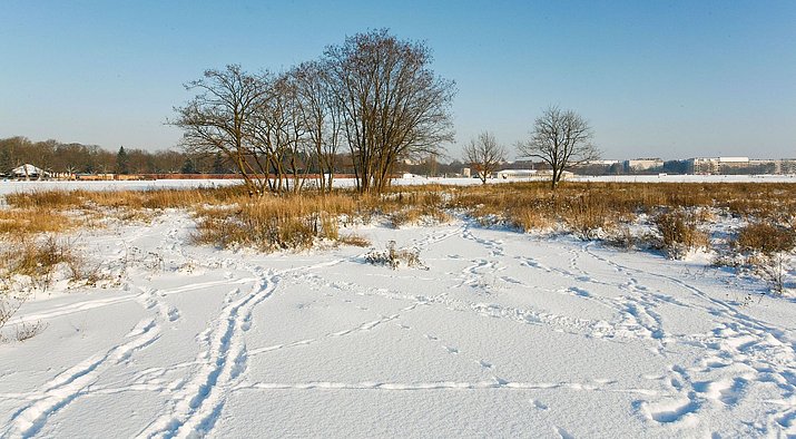 Schnee liegt auf den Wiesen des Tempelhofer Felds